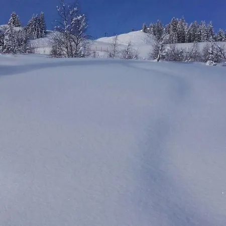 Appartamento Schafflinger Inklusive Kostenfreiem Eintritt In Alpentherme *