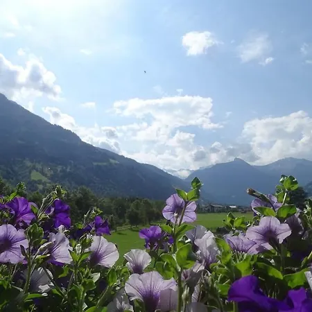 Apartment Schafflinger Inklusive Kostenfreiem Eintritt In Alpentherme