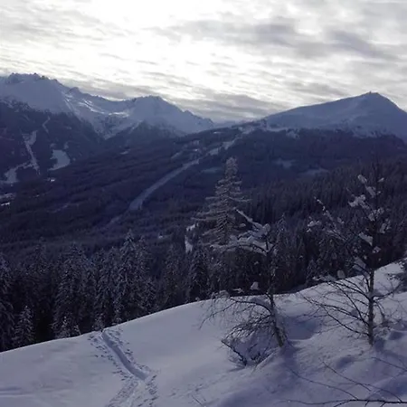 Schafflinger 아파트 배드호프가스타인