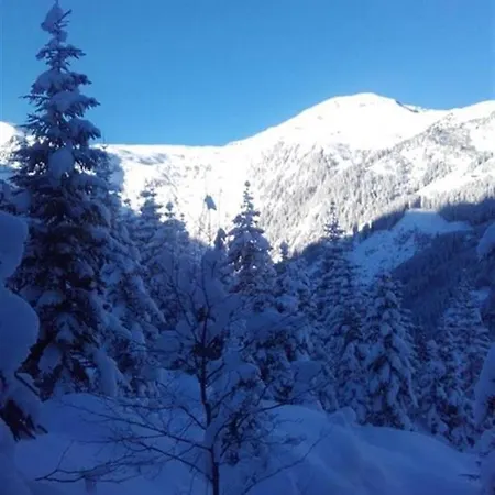 Schafflinger Inklusive Kostenfreiem Eintritt In Alpentherme Bad Hofgastein