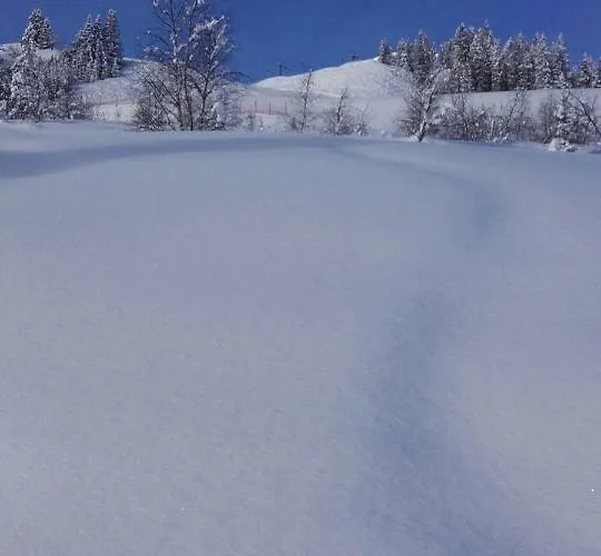 Апартаменты Schafflinger *