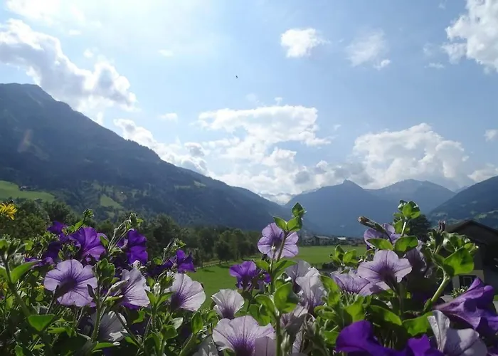 Апартаменты Schafflinger