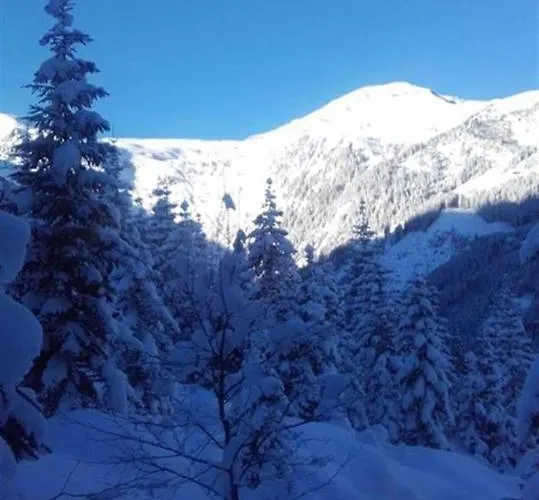 Apartamento Schafflinger